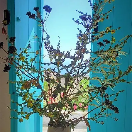 Wabisabi Chora W/ Spectacular Sea Views Serifos Town