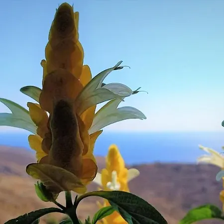 Wabisabi Chora W/ Spectacular Sea Views *