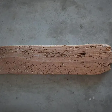 Wabisabi Chora W/ Spectacular Sea Views *