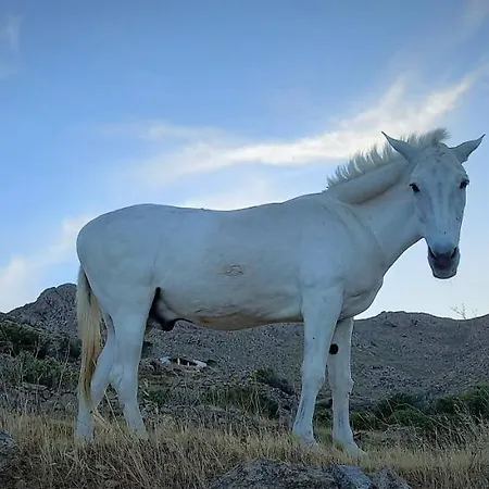 Vakantiehuis Wabisabi Chora W/ Spectacular Sea Views *