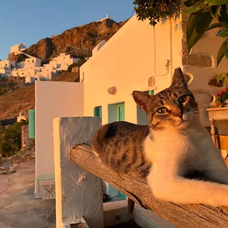 Wabisabi Chora W/ Spectacular Sea Views