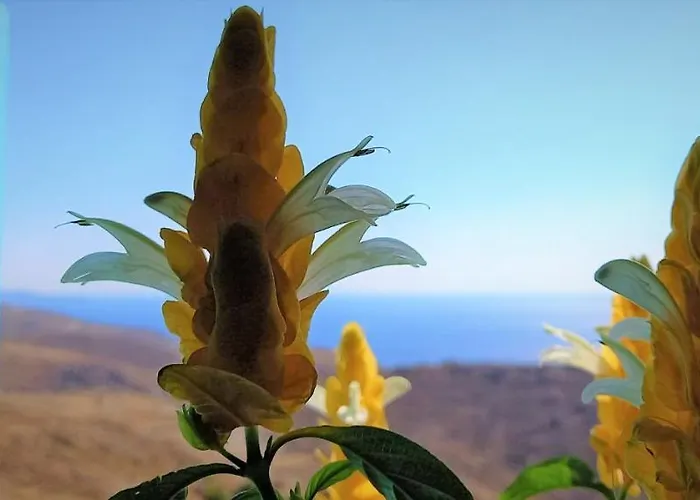 Wabisabi Chora W/ Spectacular Sea Views *