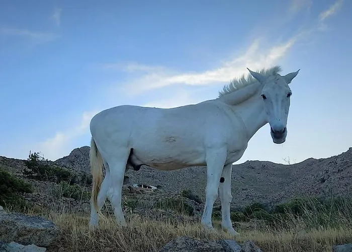 Ferienhaus Wabisabi Chora W/ Spectacular Sea Views *