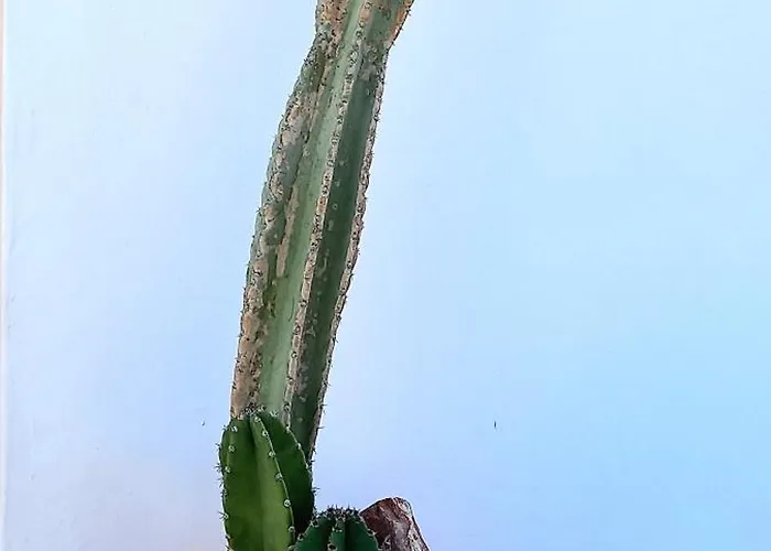 Wabisabi Chora W/ Spectacular Sea Views * Serifos Town