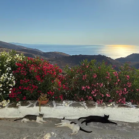 Wabisabi Chora W/ Spectacular Sea Views בית נופש Serifos Town